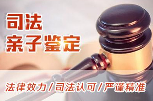 海淀区司法亲子鉴定怎么做,海淀区司法DNA亲子鉴定收费标准