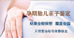 甘肃省怀孕亲子鉴定的流程（预约办理）