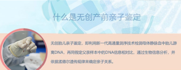 沧州怀孕亲子鉴定流程,